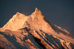 Manaslu 08 01 Manaslu Sunrise From Sama I had another perfect sunrise view, but a little foreshortened, of Manaslu from Sama.